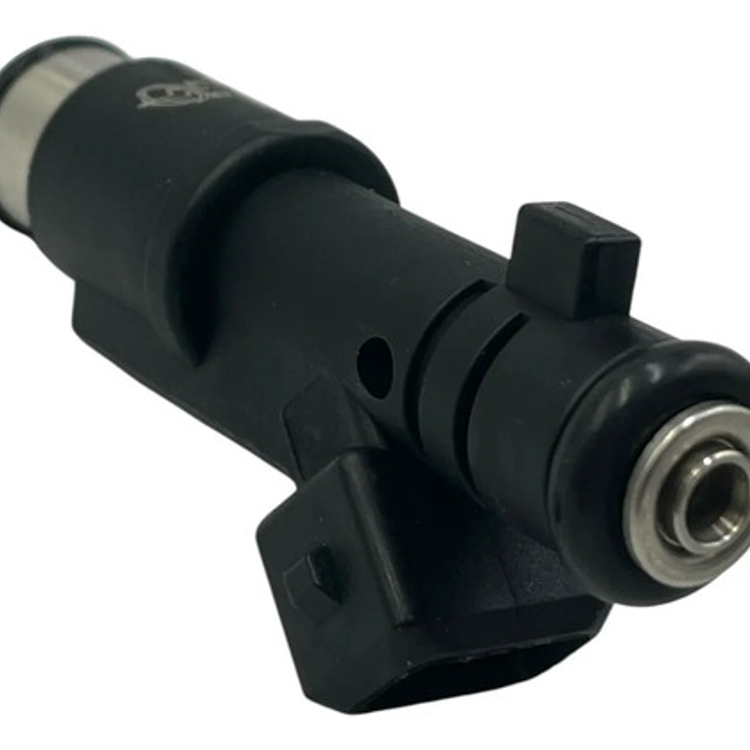 Inyector Combustible Para Peugeot 307 2.0 2002-2009 6