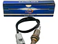Sensor Oxigeno Para Suzuki Ertiga 1.5 2019-2022 - Miniatura 2
