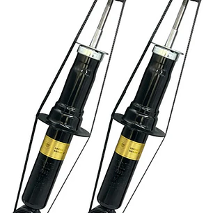 Par Amortiguador Trasero Para Dodge Journey 2.7 2009-2011