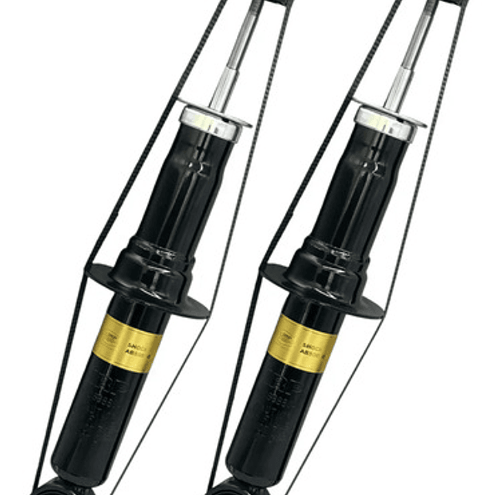 Par Amortiguador Trasero Para Dodge Journey 2.7 2009-2011 1