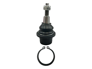 Rotula Inferior Der/izq Para Ford  F-150 5.0 2015-2024 2