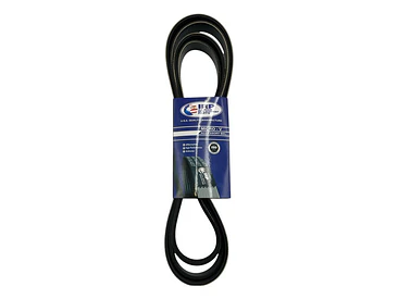 Correa Alternador Ford Transit 2.4 2005-2012 2