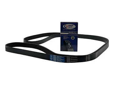 Correa Alternador Ford Transit 2.4 2005-2012 1