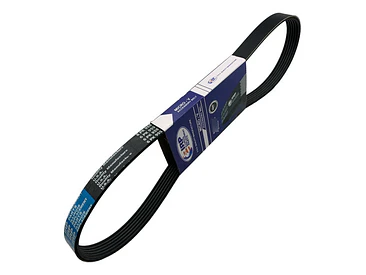 Correa Alternador Para Hyundai Elantra 1.6 2012-2020 G4fg 3