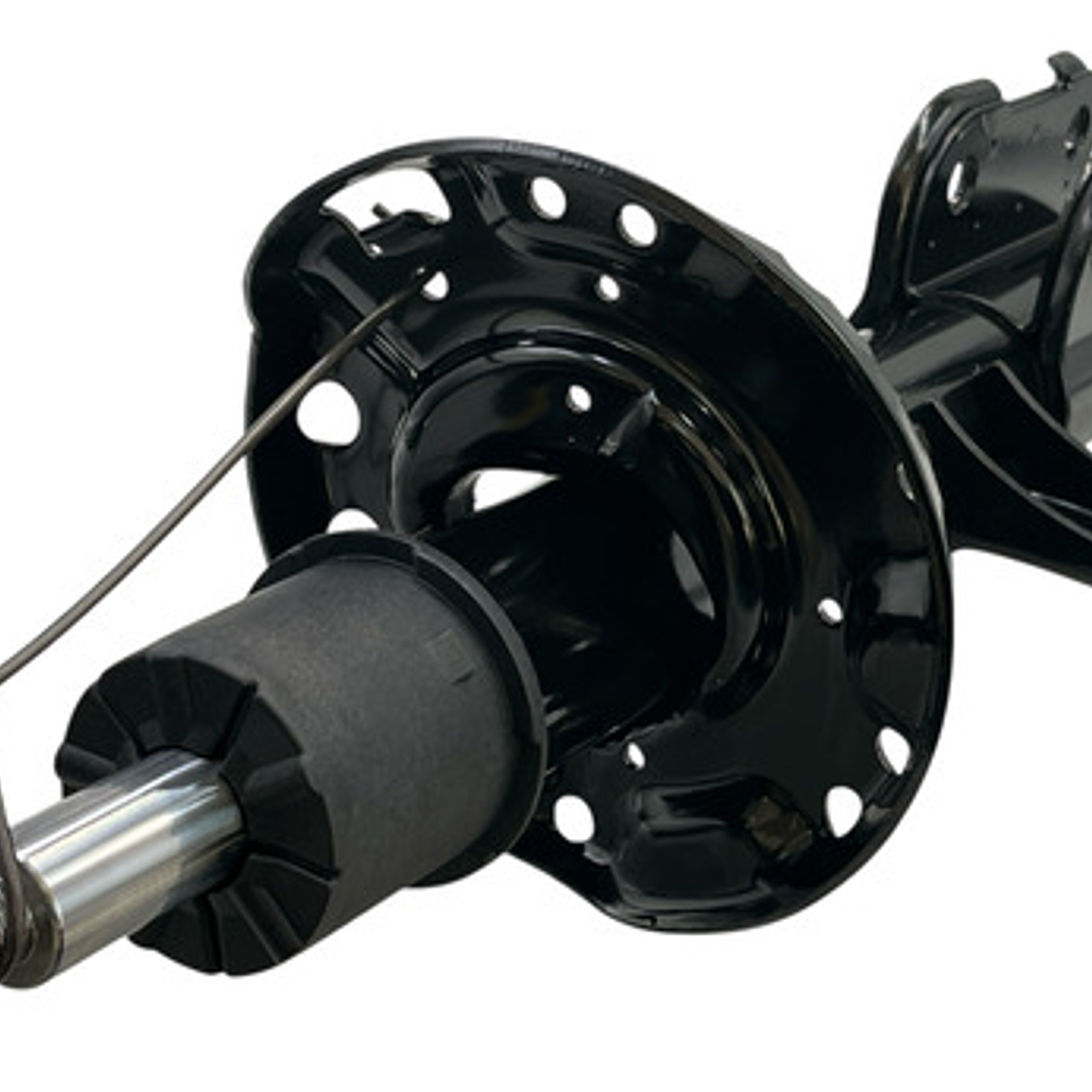 Amortiguadores Delanteros Y Trasero Para Grand Carnival 2.2 7