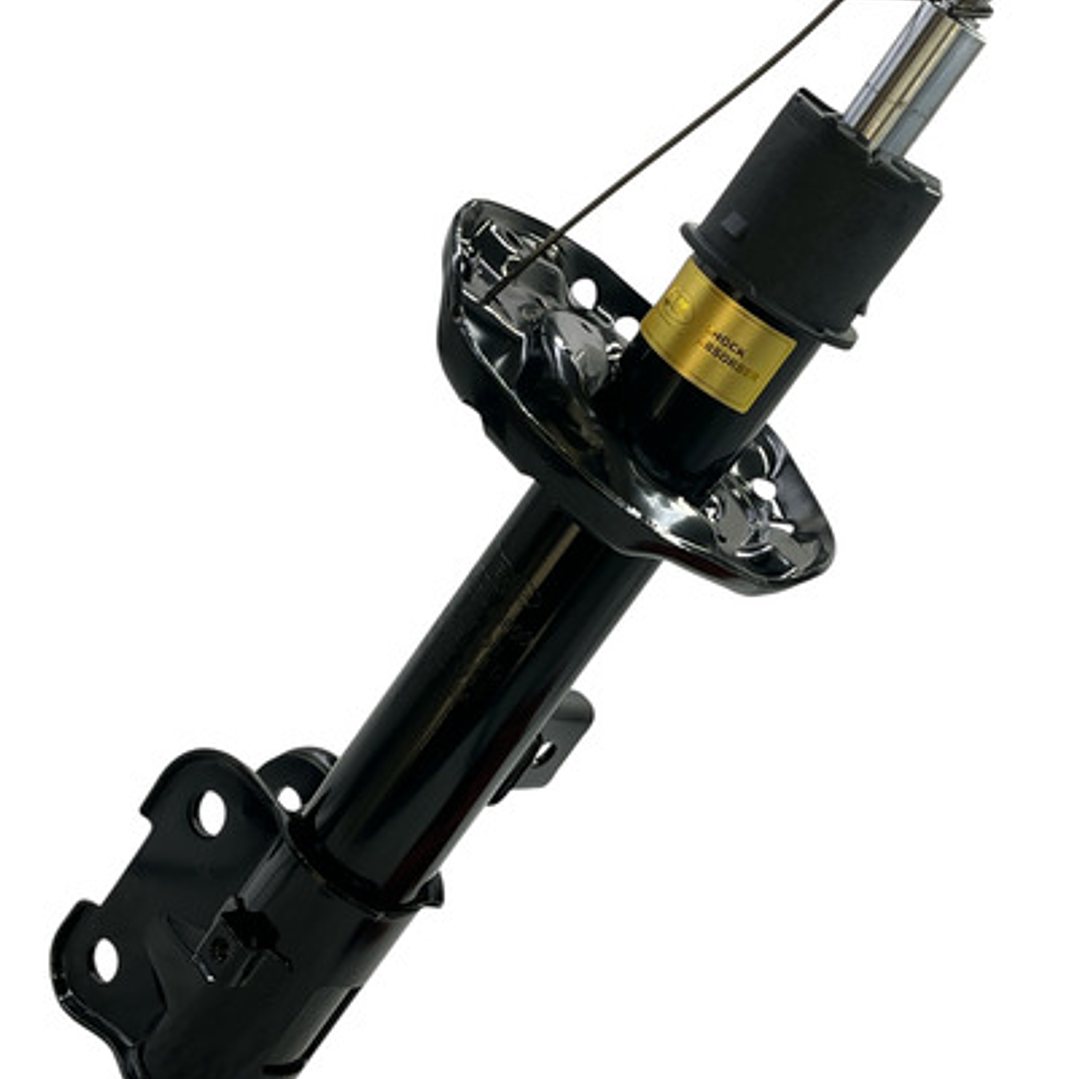 Amortiguadores Delanteros Y Trasero Para Grand Carnival 2.2 5