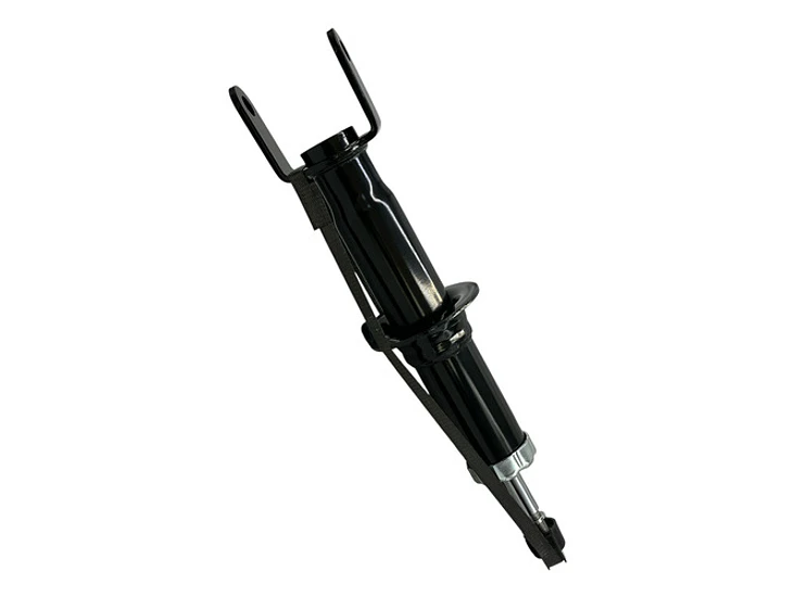 Par Amortiguador Delantero Para Dodge Dakota 3.7 2010-2012 4