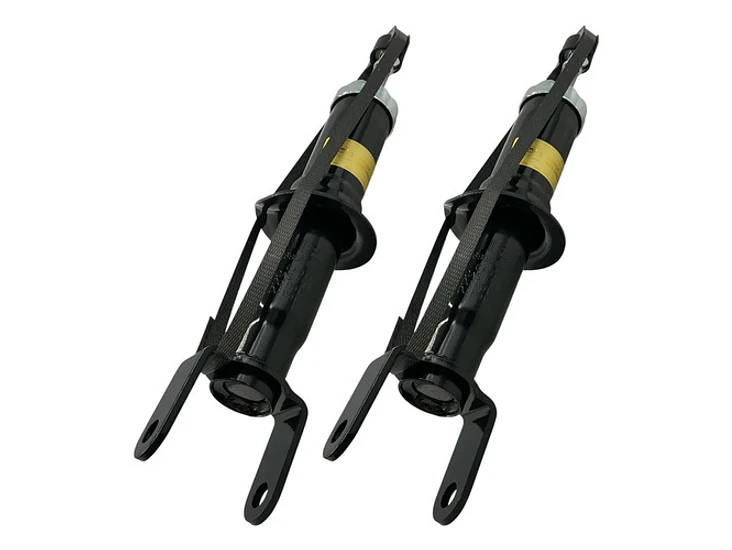 Par Amortiguador Delantero Para Dodge Dakota 3.7 2010-2012 2