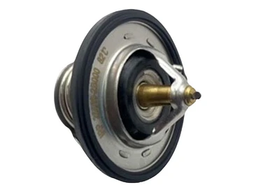 Termostato Hyundai Veloster 1.6 16v 2011-2021 G4fg  82º C 1