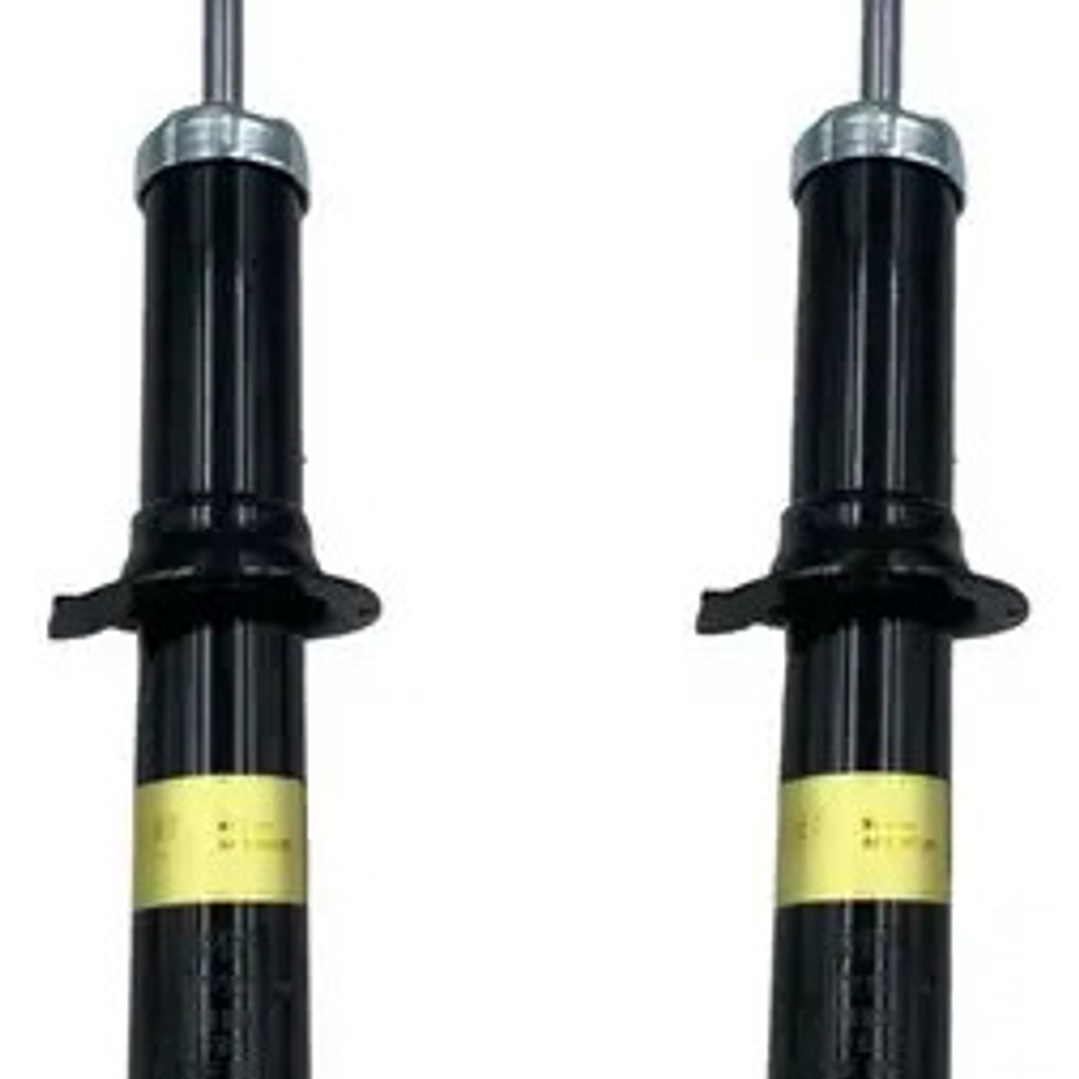 Par Amortiguadores Delanteros Ssangyong Actyon 4x2 2007-2012 1