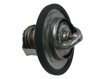 Kit Termostato Mg3 Mg5 Mg350 Mg Zs Mg Gt 1.5 80°c Y 88°c 4