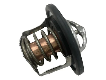Kit Termostato Mg3 Mg5 Mg350 Mg Zs Mg Gt 1.5 80°c Y 88°c 5