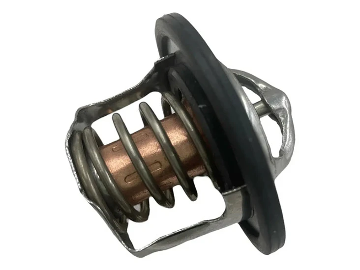 Kit Termostato Mg3 Mg5 Mg350 Mg Zs Mg Gt 1.5 80°c Y 88°c 5