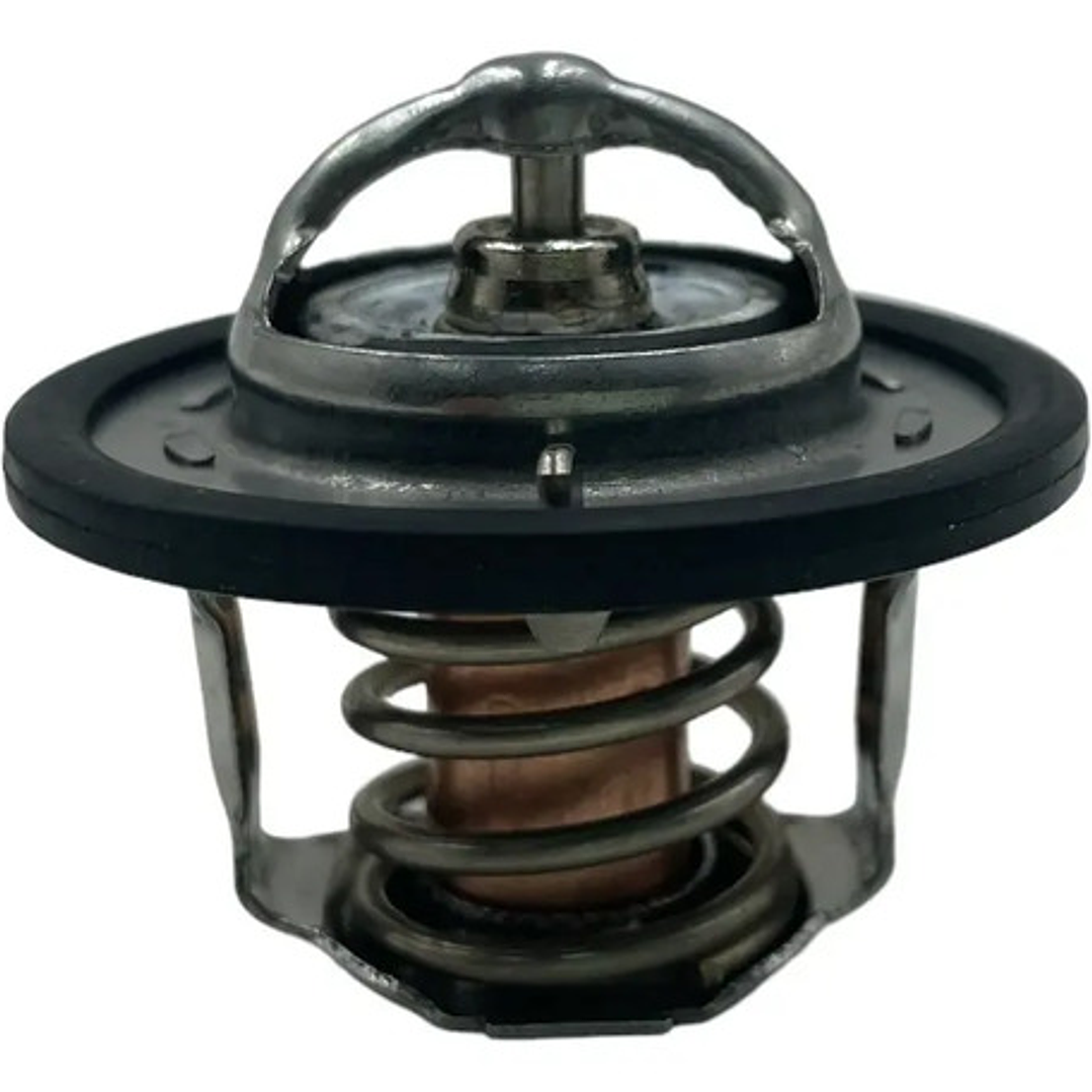 Kit Termostato Mg3 Mg5 Mg350 Mg Zs Mg Gt 1.5 80°c Y 88°c 2