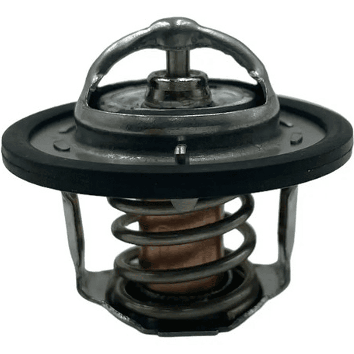 Kit Termostato Mg3 Mg5 Mg350 Mg Zs Mg Gt 1.5 80°c Y 88°c 2