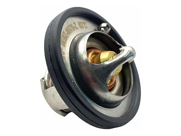 Termostato Ford Ecosport 1.6 2013-2020 Sigma  82º C 1