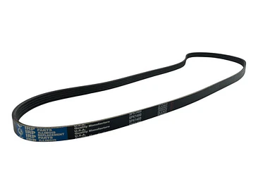 Correa Alternador Mg Gt 1.5 2017-2023 2