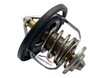 Termostato Hyundai Santa Fe 2.4 16v 2009-2018 G4ke  82º C 5