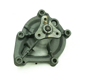 Bomba Agua Peugeot  207/208/308/3008 1.6 3