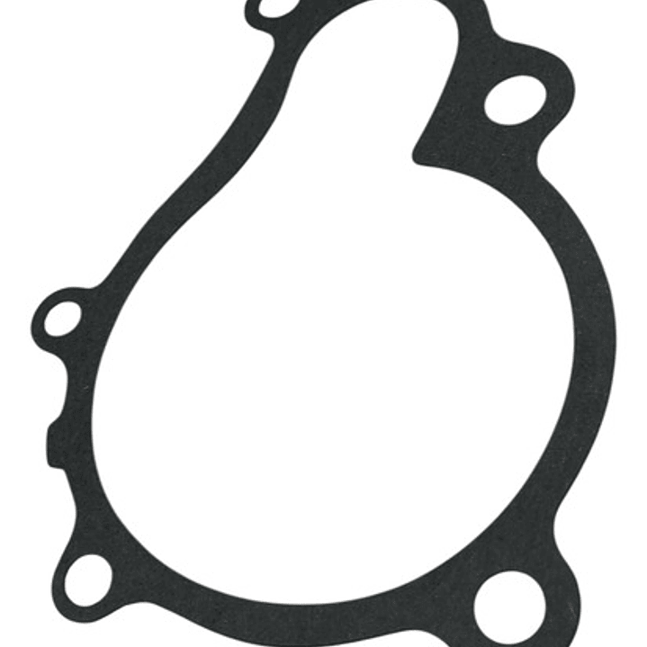 Bomba Agua Hyundai Elantra 2.0 16v Diesel 2004-2005 Xd D4ea 5