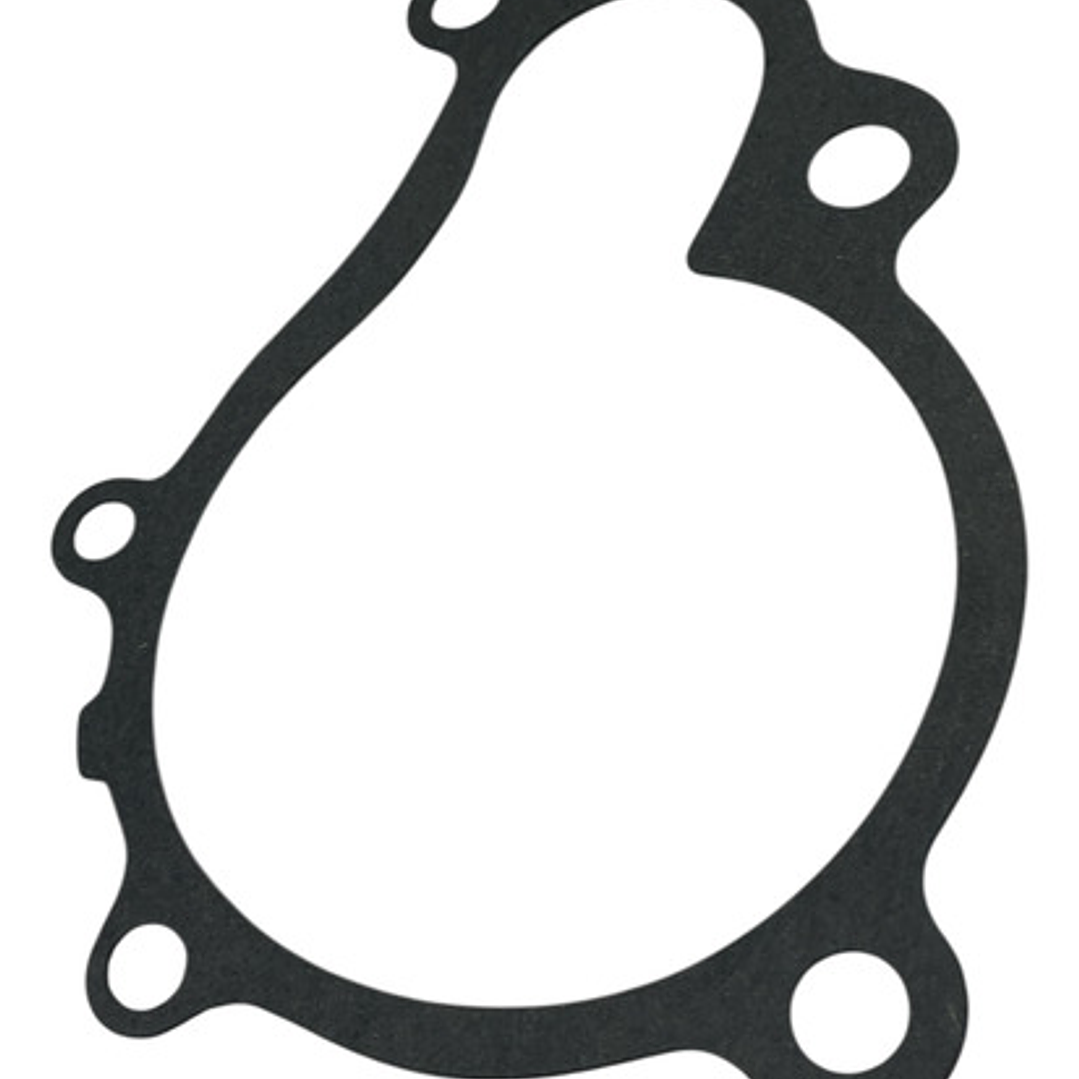 Bomba Agua Para Hyundai Santa Fe 2.2 2006-2010 Diesel D4eb 6