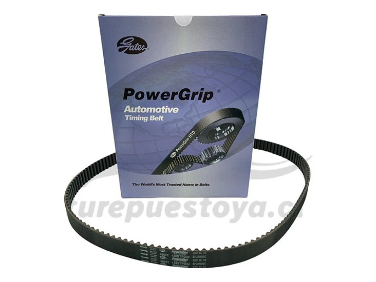 Kit Distribución Chevrolet Cruze 1.8 2010-2017 3