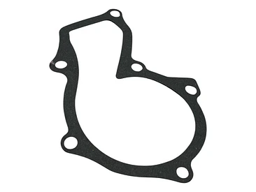 Bomba Agua Ford Ecosport 1.6 16v 2013-2019 Sigma 7