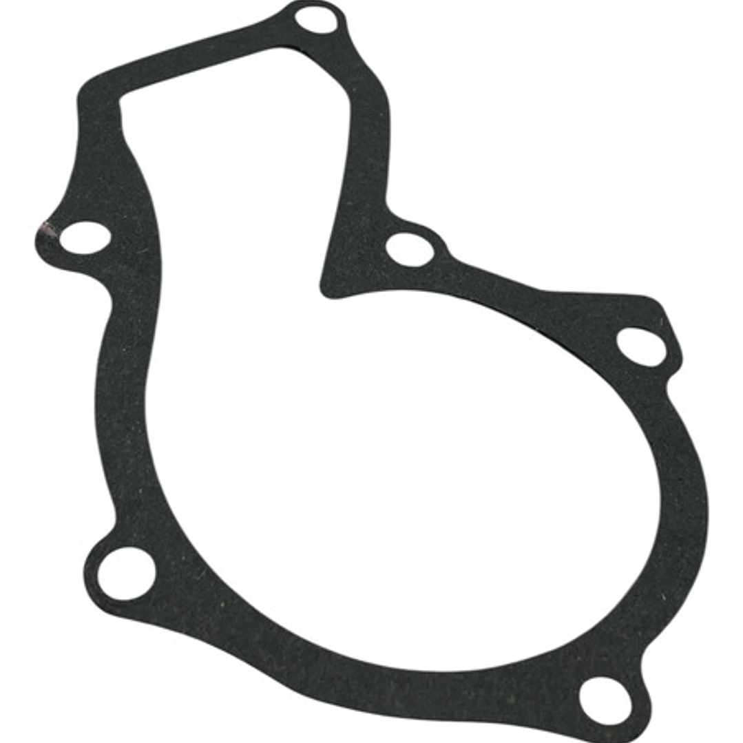 Bomba Agua Ford Ecosport 1.6 16v 2013-2019 Sigma 7