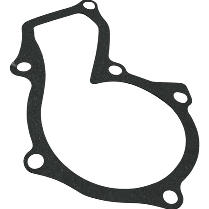 Bomba Agua Ford Ecosport 1.6 16v 2013-2019 Sigma 7