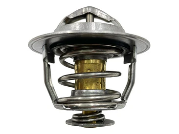 Termostato Jac Sunray 2.8 2012-2019 6