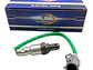 Sensor Oxigeno Ford Ecosport 1.6 2013-2020  ( Posición 1) - Miniatura 1