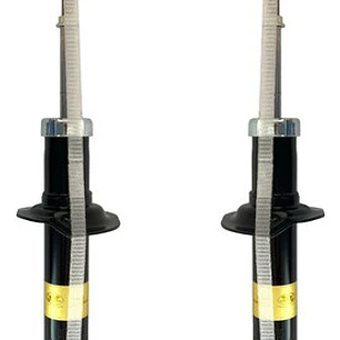 Par Amortiguador Trasero Para Samsung Sm3 1.5 1.6 2003-2016