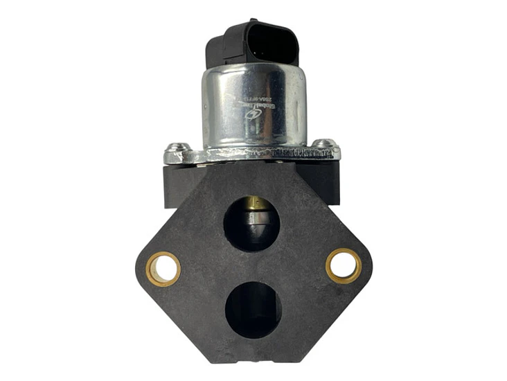 Válvula Iac Ford Ecosport 1.6 2006-2012 Zetec 6