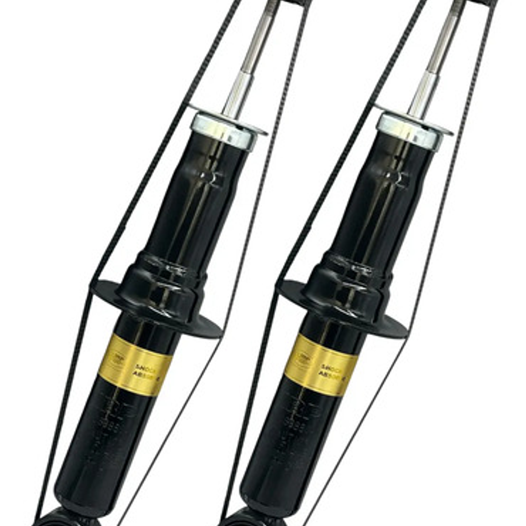 Par Amortiguador Trasero Para Dodge Journey 3.6 2008-2019 2