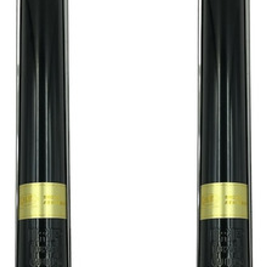 Par Amortiguadores Traseros Mg Zs 1.5 2017-2023 1