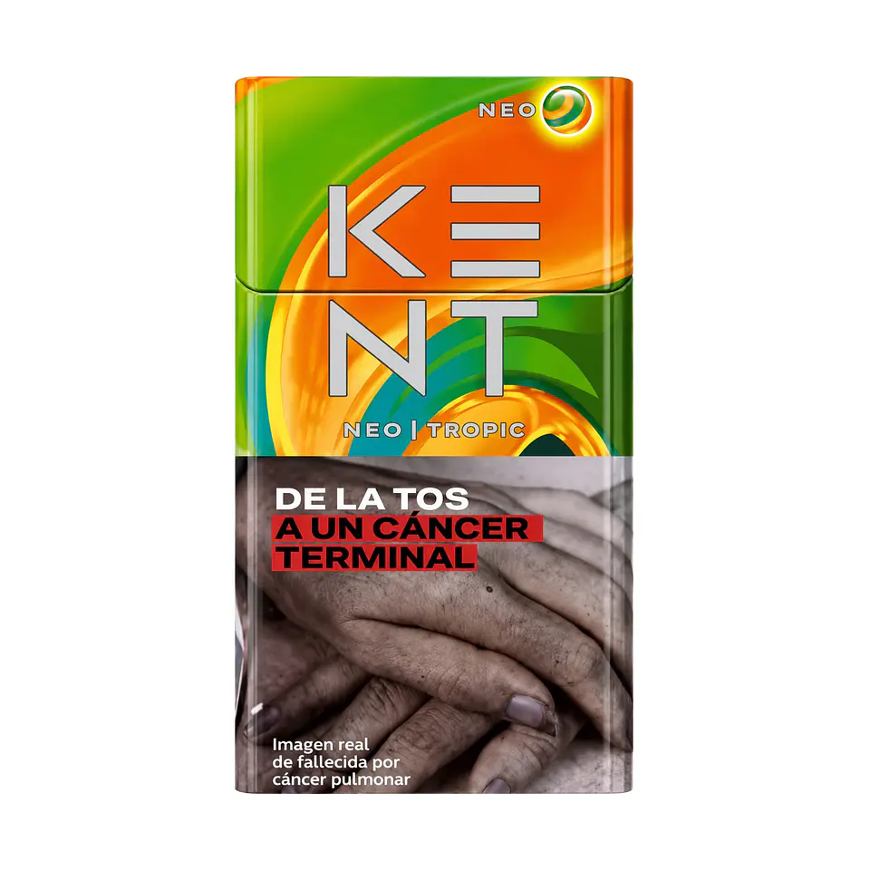 Cigarros kent 20 Un  4