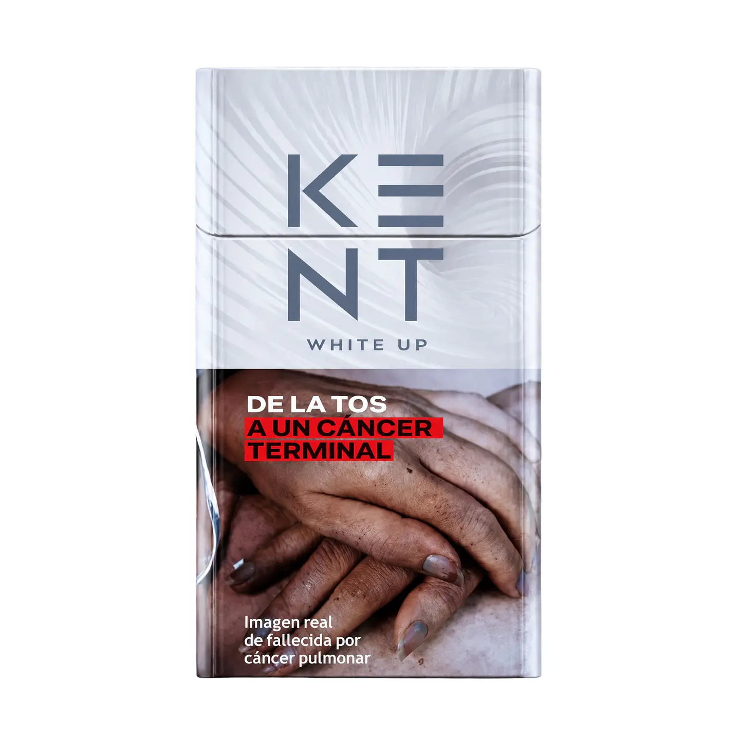 Cigarros kent 20 Un  6
