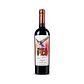 Pedazo de Pico Gran Reserva Carménère 2020 – 750 ml - Miniatura 2