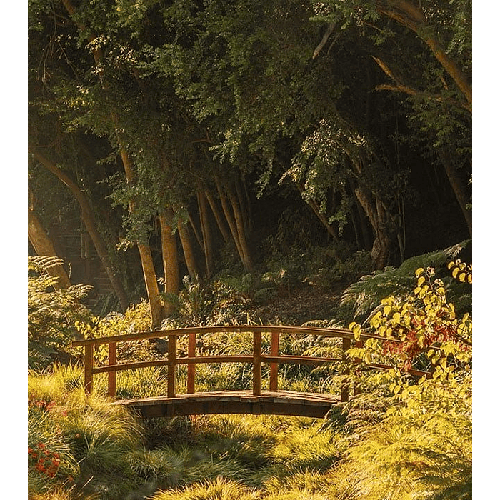 parque tricao salida 1 de septiembre 2024 5