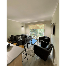 PAGO RESERVA ALOJAMIENTO PUCON 