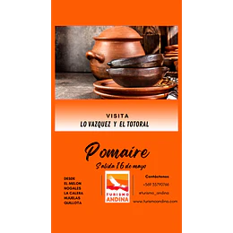 POMAIRE SALIDA  16 DE MAYO - reserva