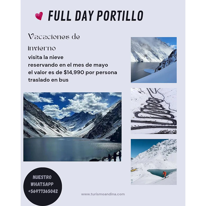 TRASPORTE PORTILLO boletos reserva 1