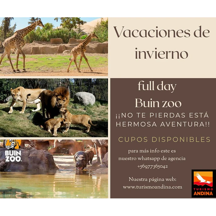 BUINZOO SOLO TRASLADO RESERVA 