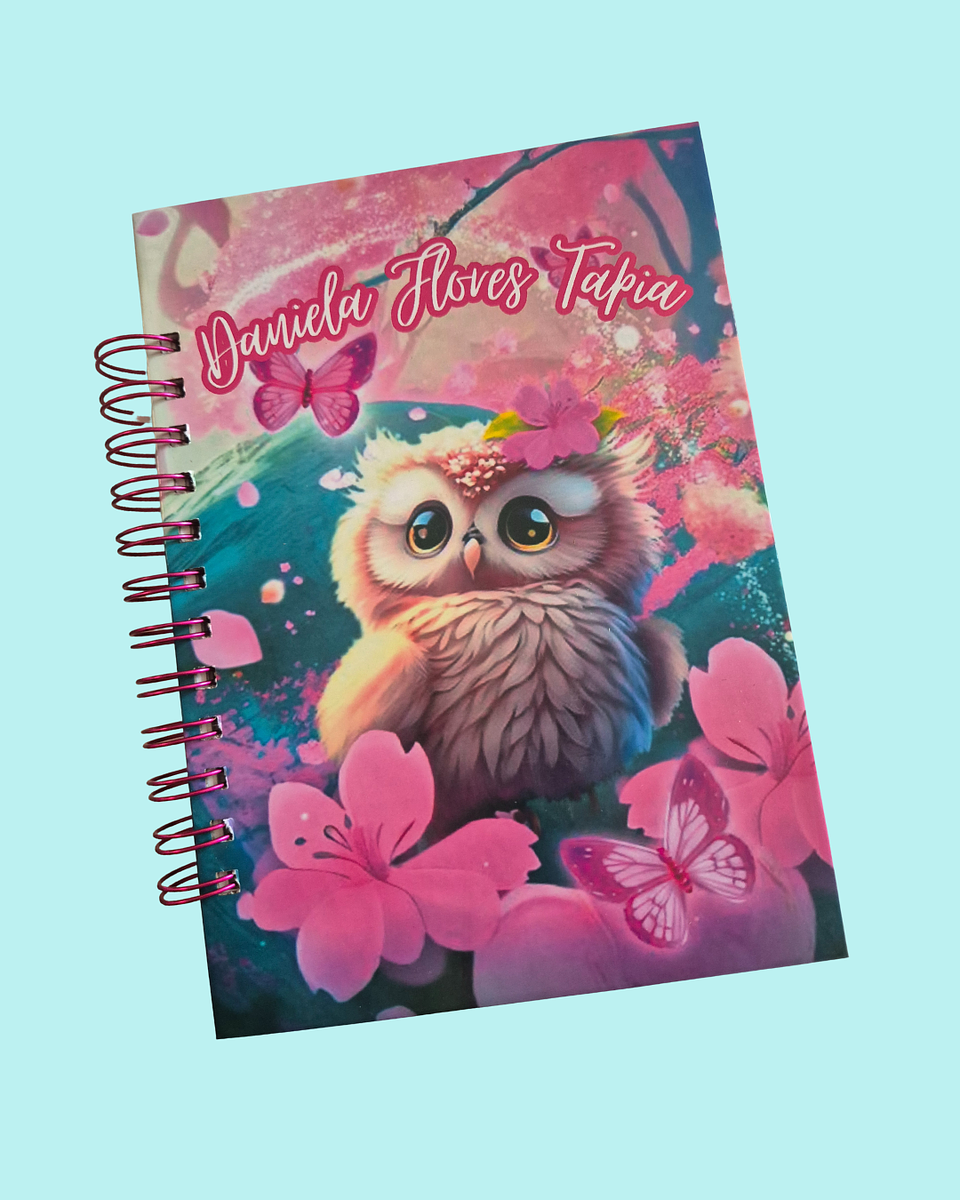 AGENDA EDUCACIÓN  4