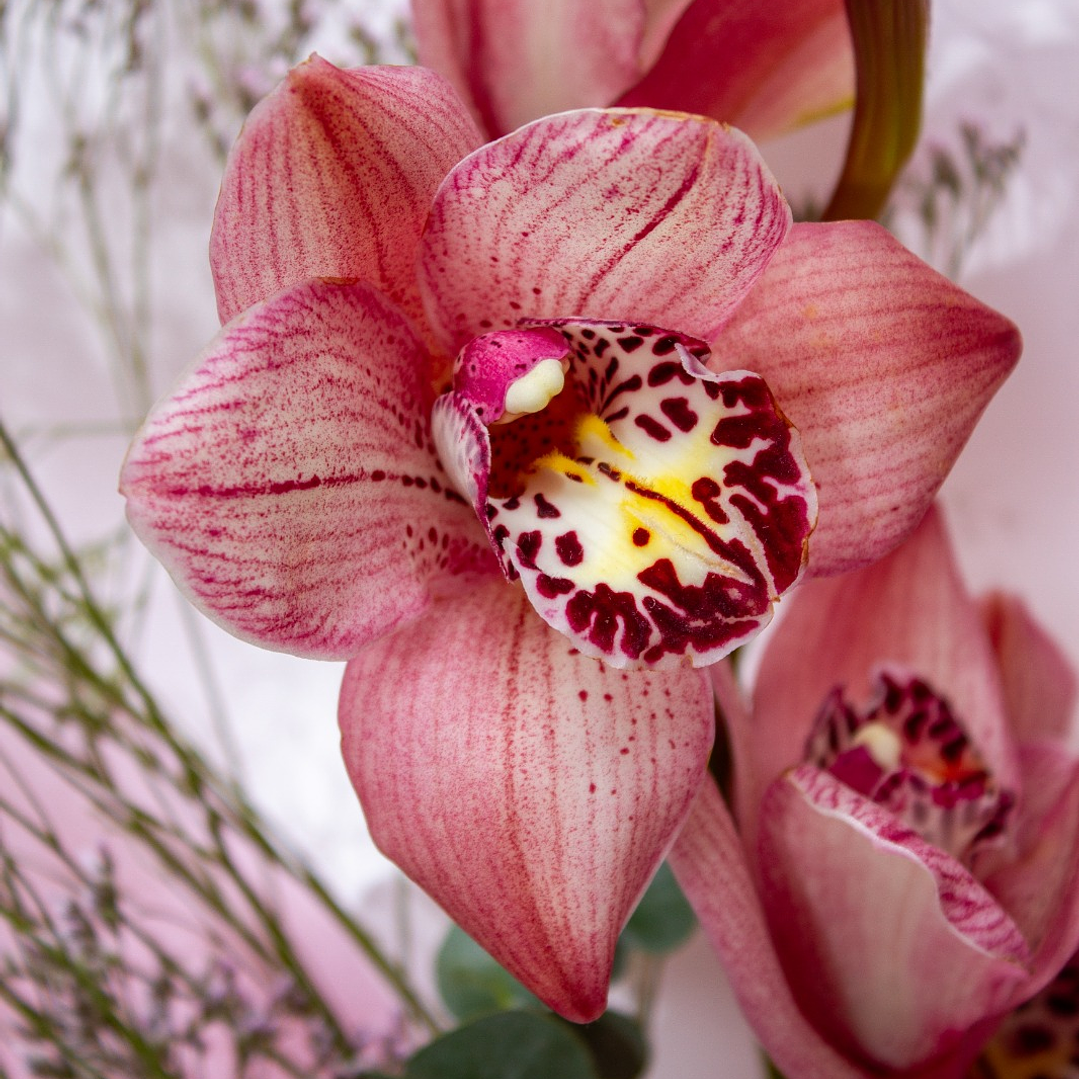 Bouquet Orquídeas Rosadas 3