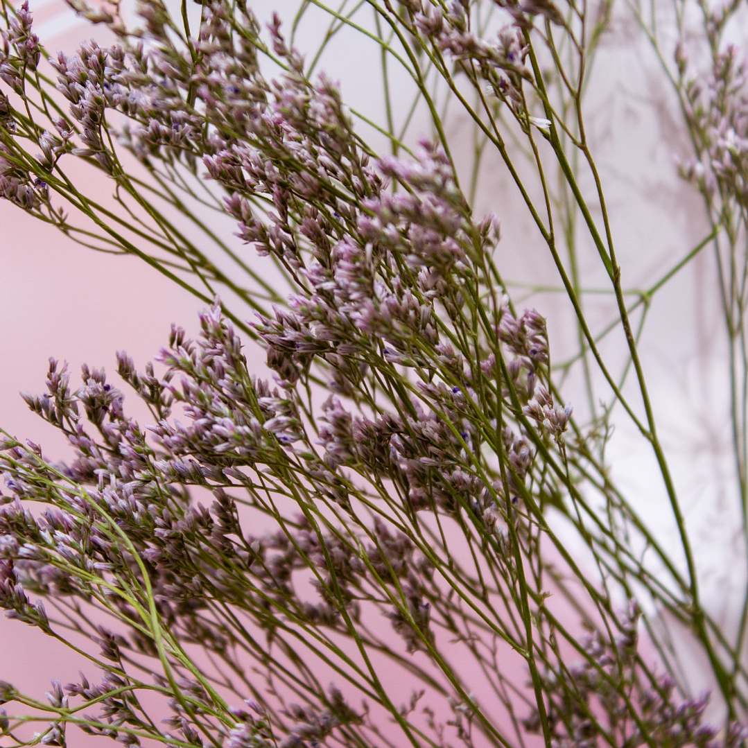 Bouquet Orquídeas Rosadas 4