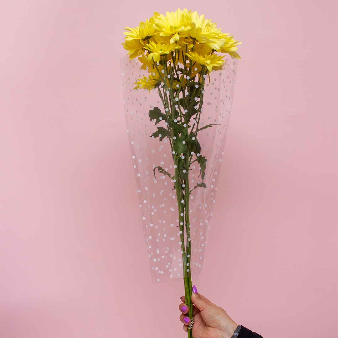 Margarita Flores Amarilas 1