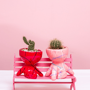 Cactus Matera De Pareja Con Silla