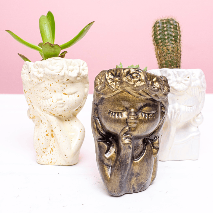 Suculenta en rostro escultural salpicado 2