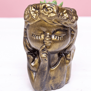 Suculenta en rostro escultural dorado